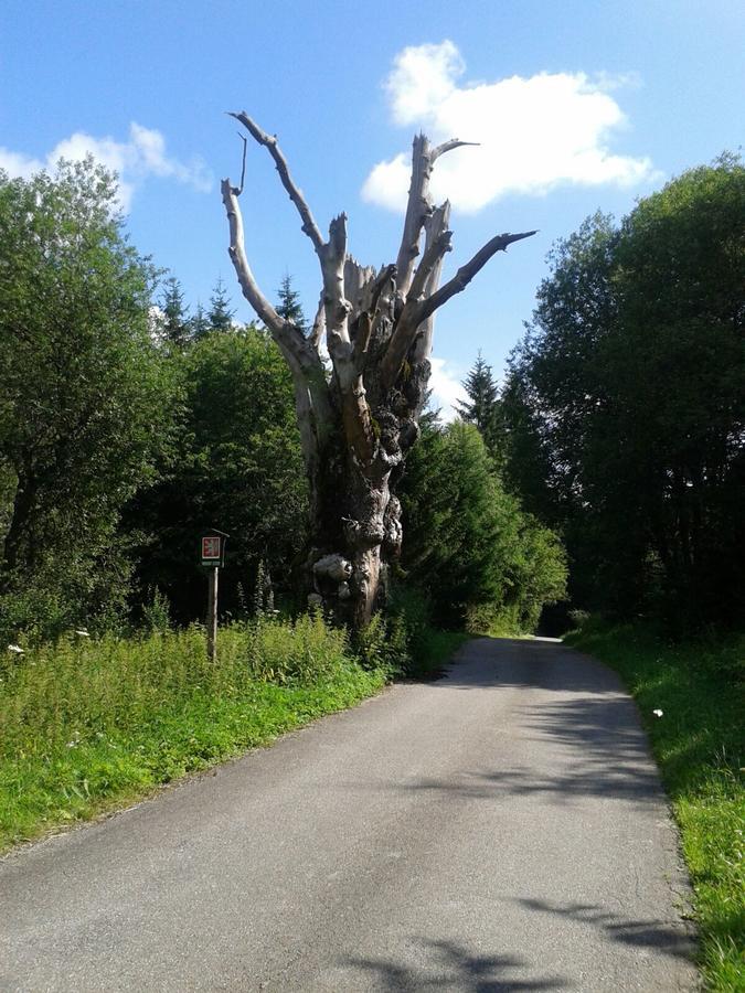 Apartman 7 Stožec Eksteriør billede