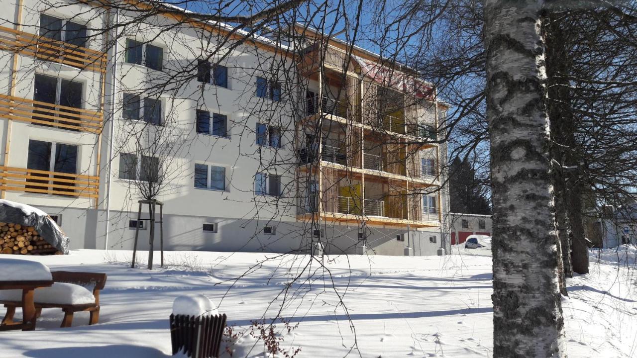 Apartman 7 Stožec Eksteriør billede